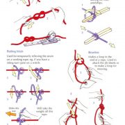 knots1