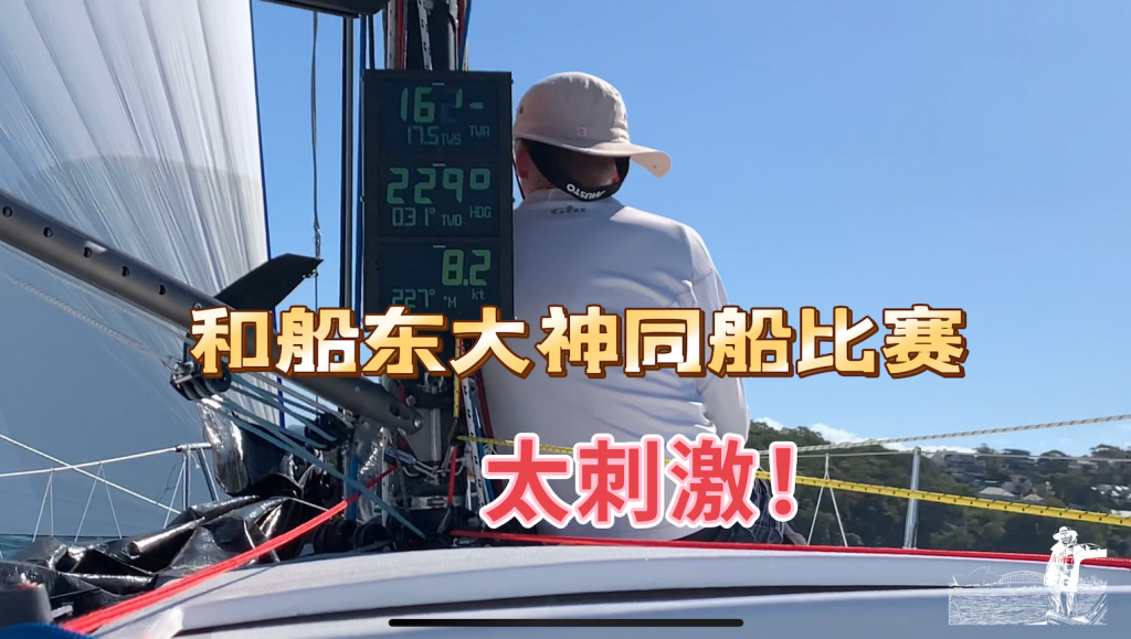 在悉尼帆船比赛